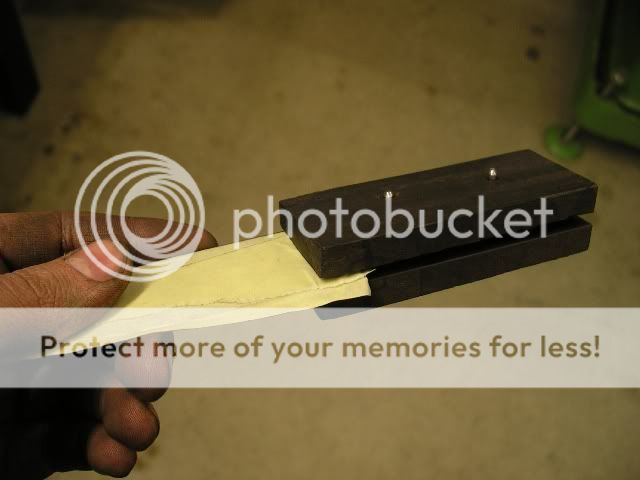 IMGP5319.jpg