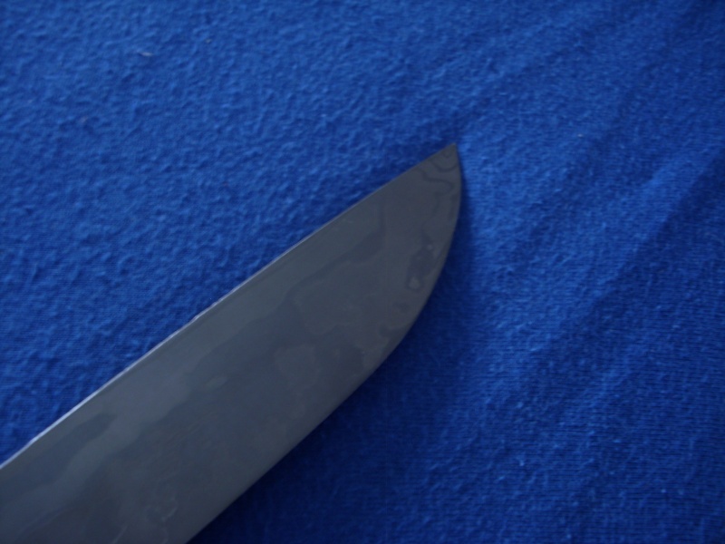dsci0119.jpg