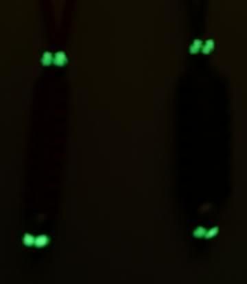 CIMG5017Small.jpg