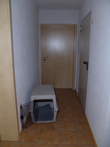 2060845502_52eece2a52.jpg