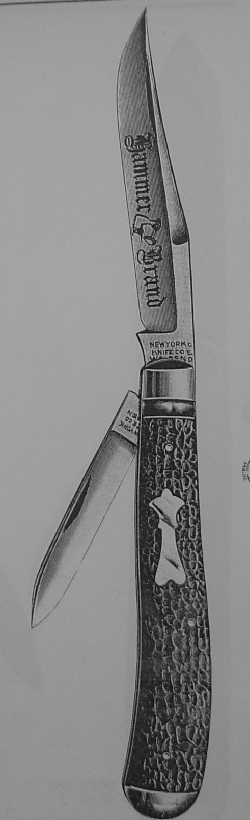 11825833nw.jpg