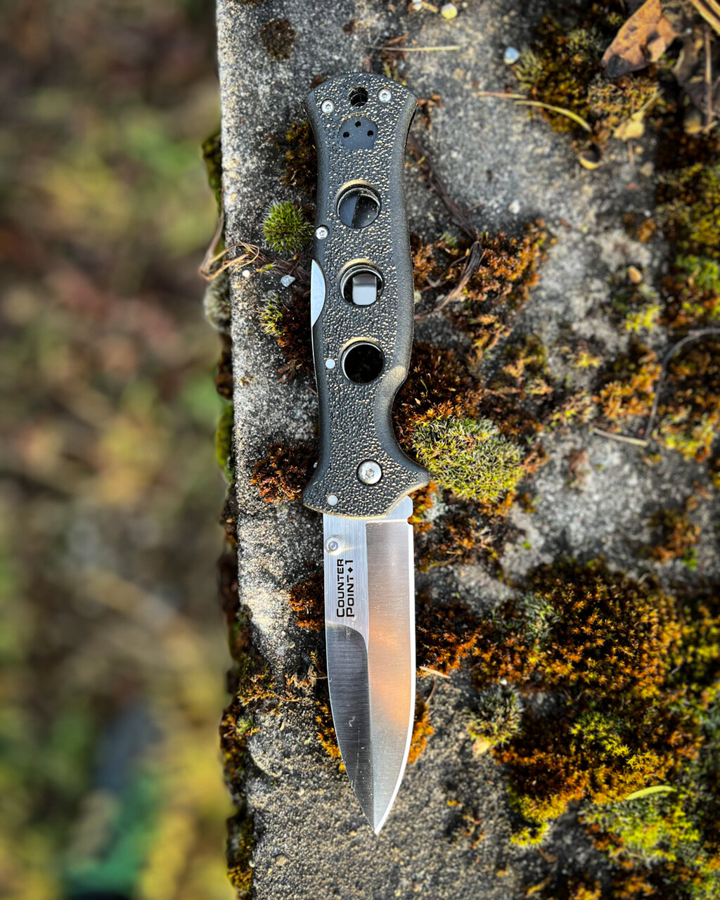 48844912ja.jpg