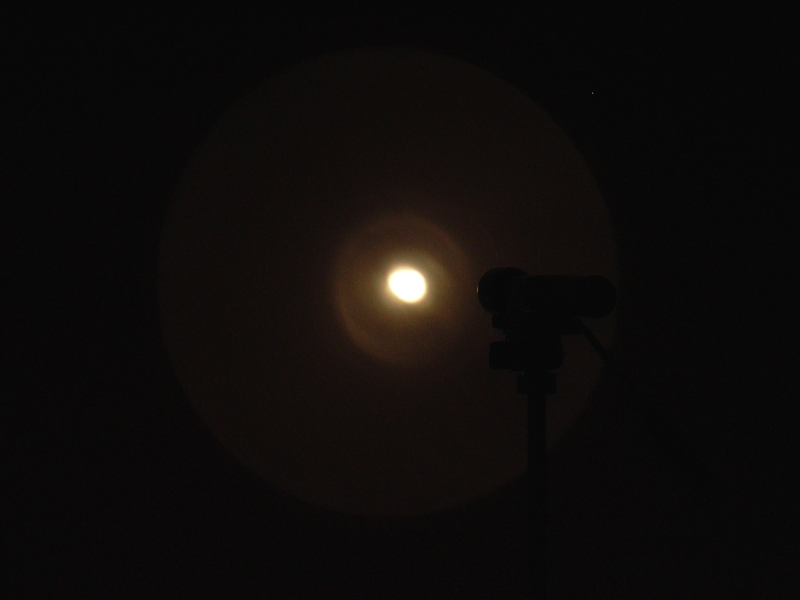MAG_focussiert800x600.jpg