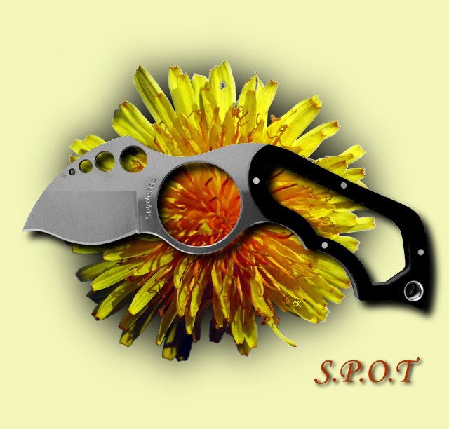 SPOT_30_1GW.jpg