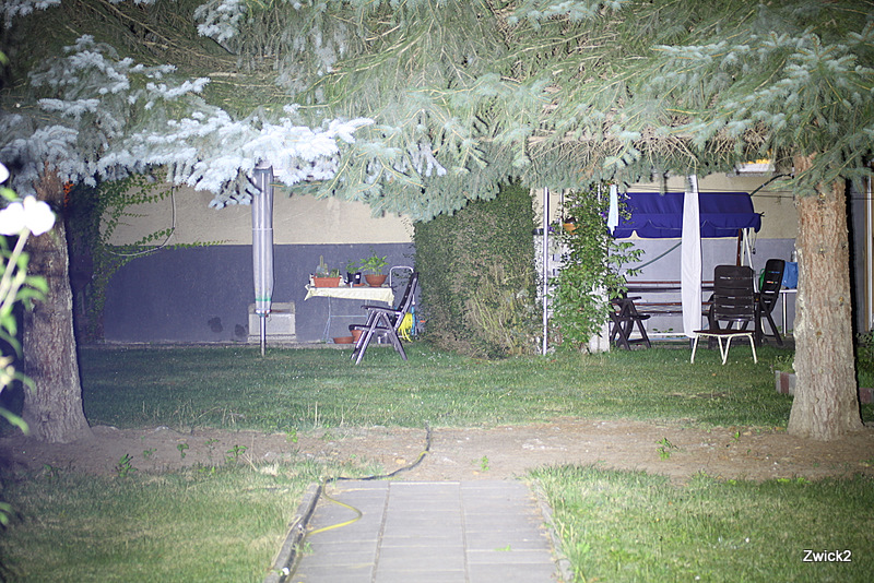 IMG_7068.JPG