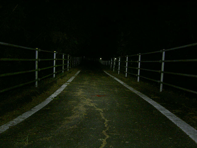 l4-60.jpg