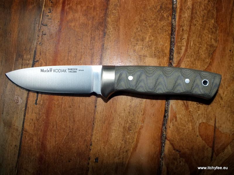 Kodiak_Mircarta7.jpg