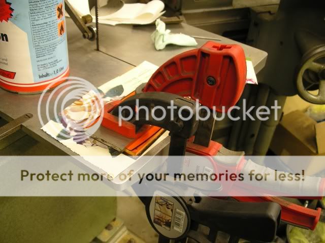 IMGP5315.jpg
