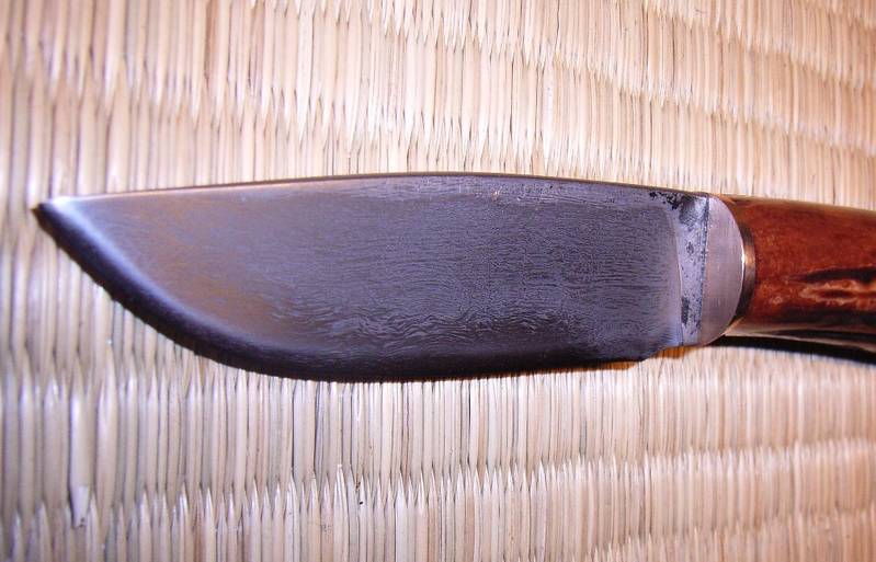 298d.JPG