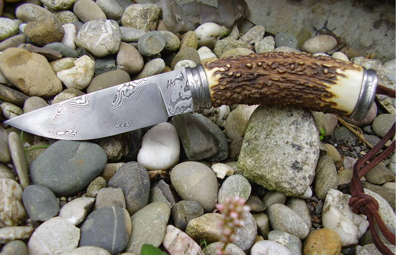 Hirsch_mit_Torsion_023.jpg