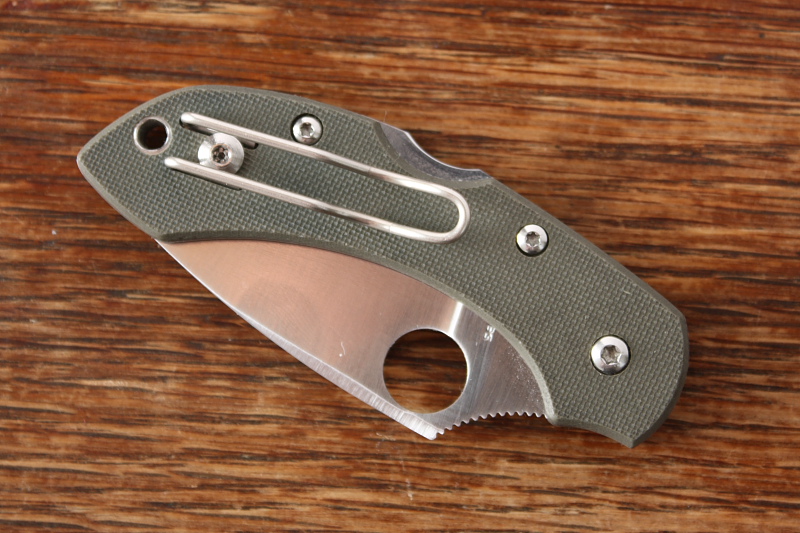 Spyderco_drangonfly_005.JPG