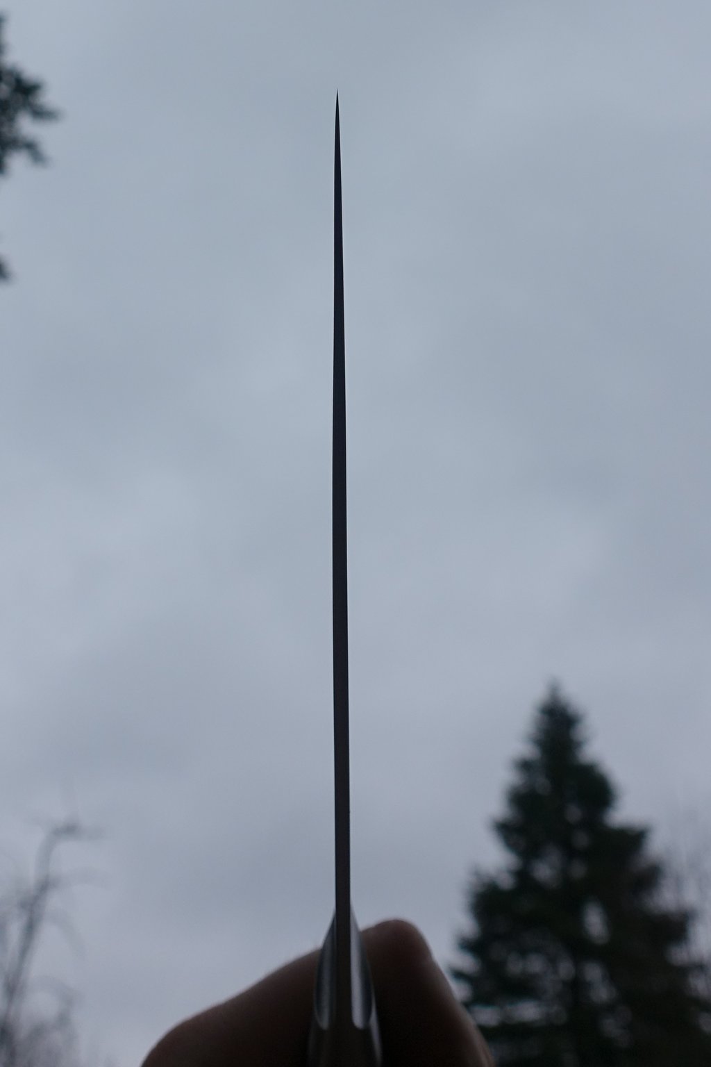 43052001na.jpg