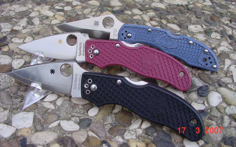 Spydies2.jpg