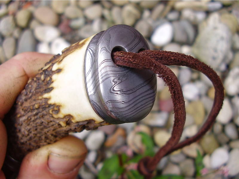Hirsch_mit_Torsion_031.jpg
