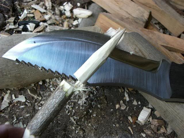 CIMG2921Small.jpg