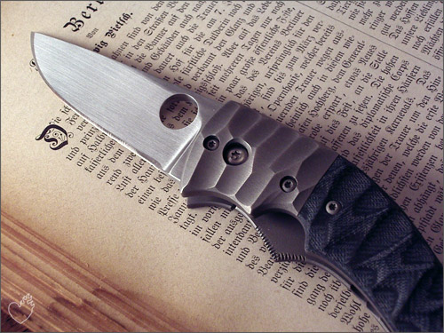 anso_rebel_02.jpg