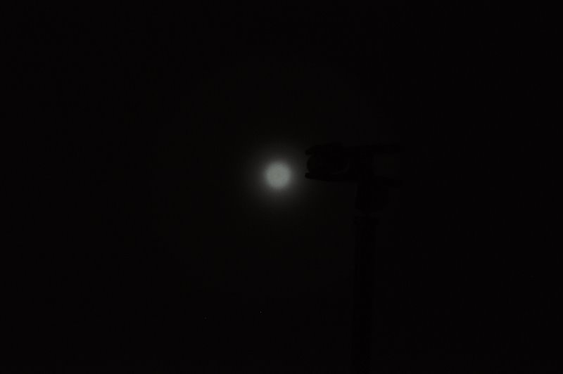 DSC_4874.JPG