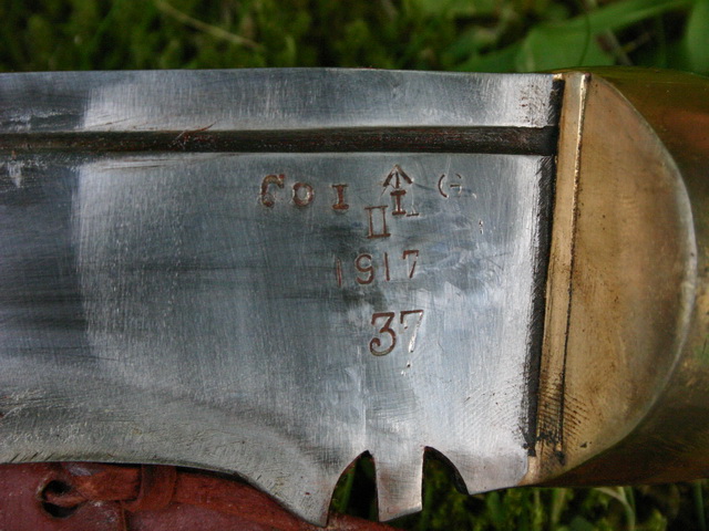 gurke03.jpg