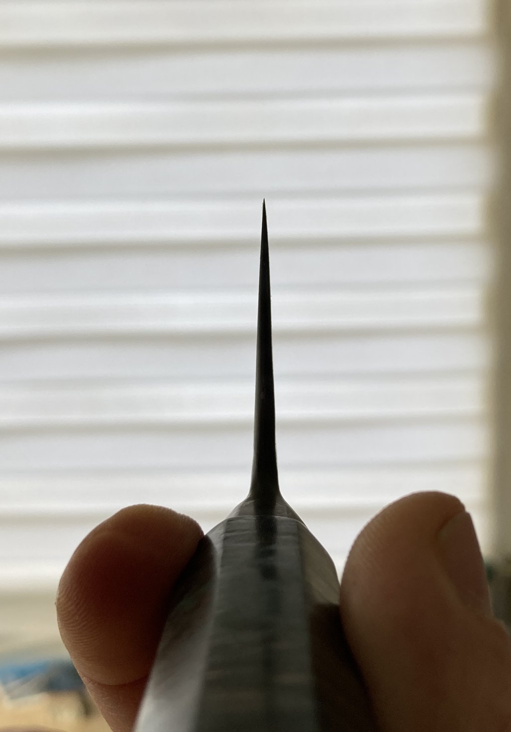 44404610pn.jpg