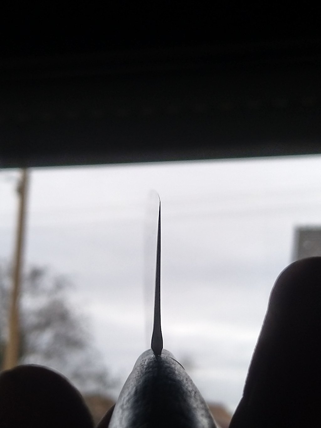 47113697xq.jpg