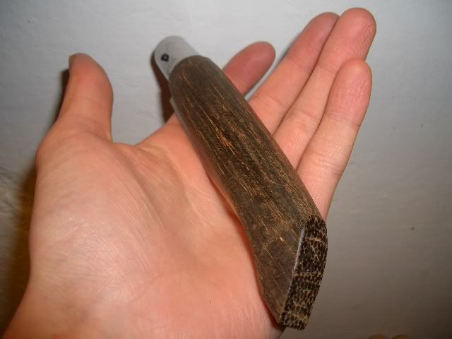 CIMG7009.jpg