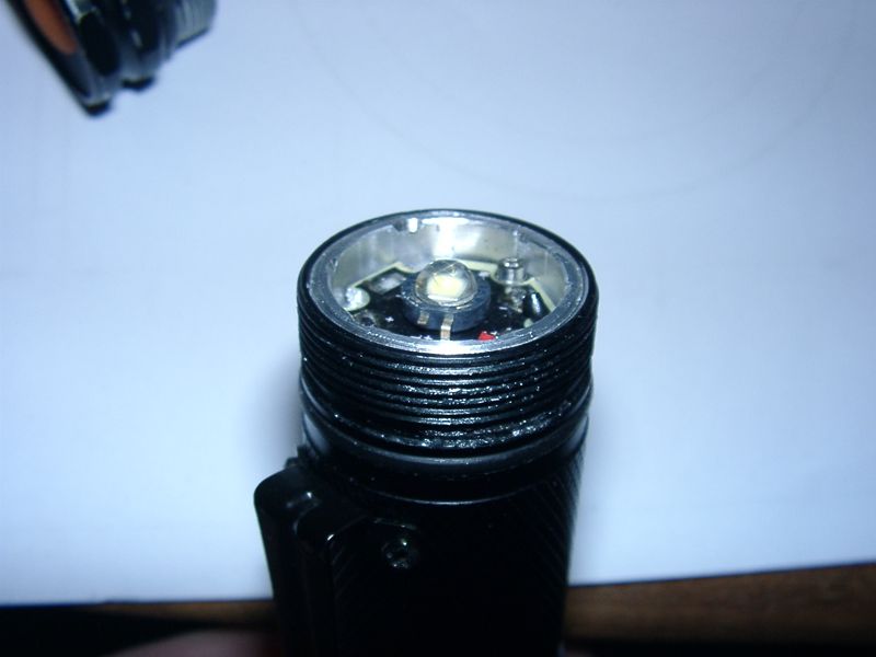 Dorcy_Mod_09.JPG