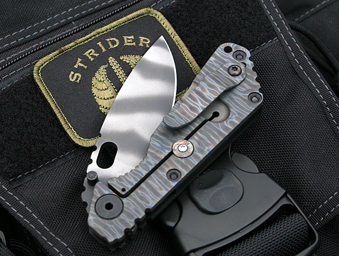 strider_sng_002.jpg