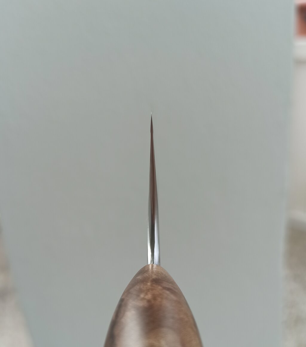 49742245fl.jpg