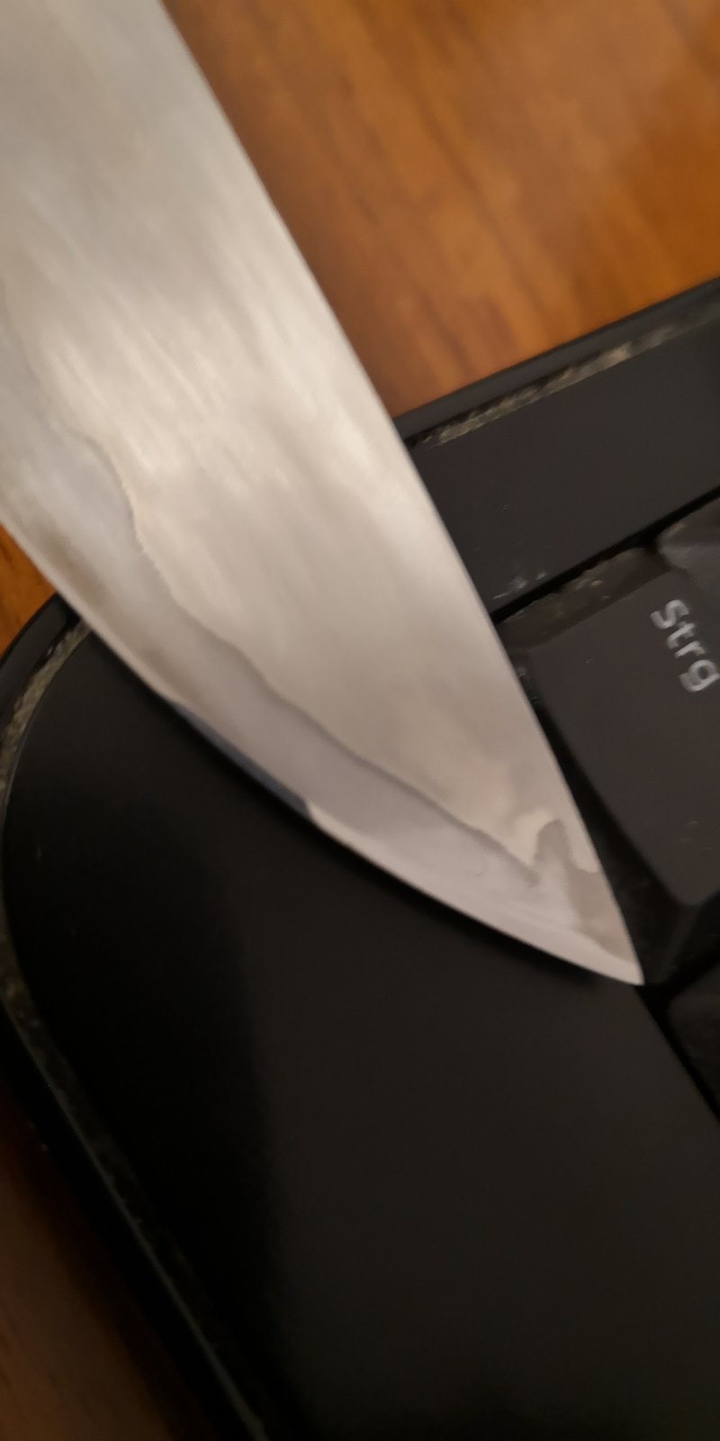 38281808rw.jpg