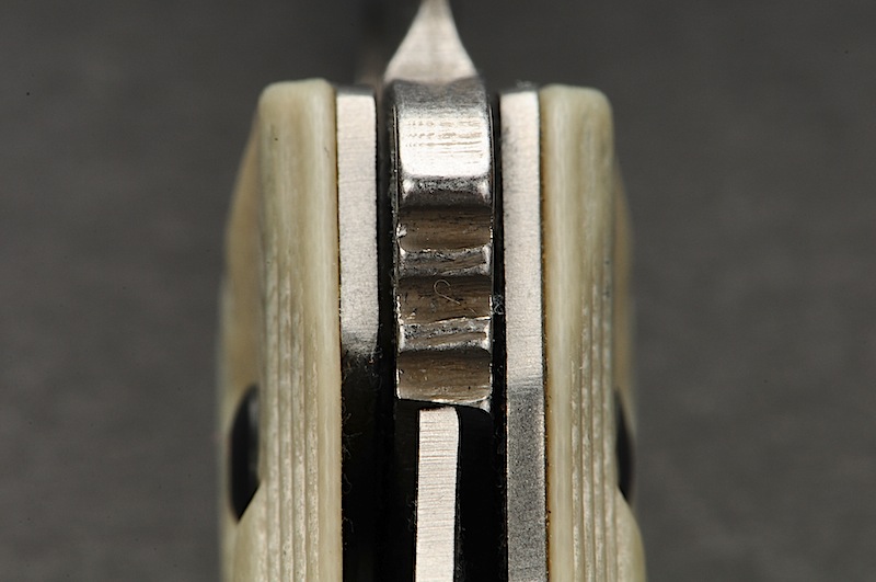 DSC_3445.JPG