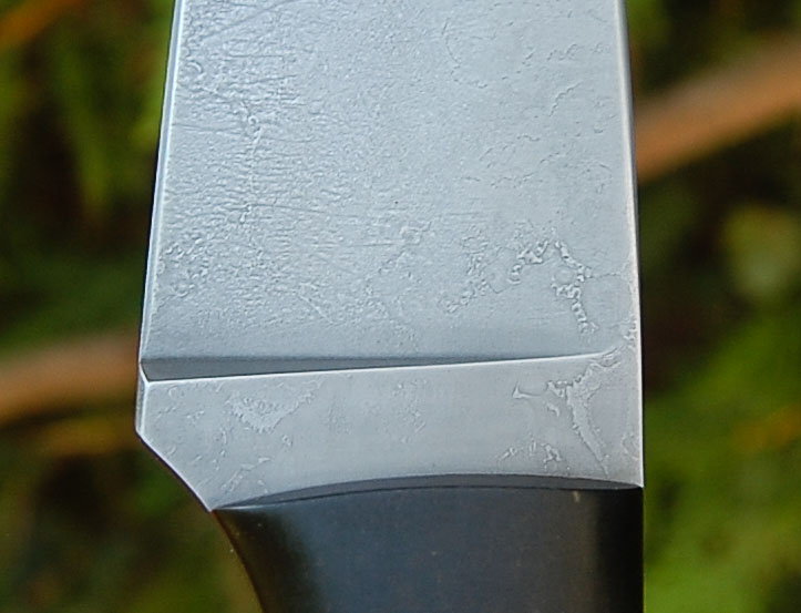 sg-5.jpg
