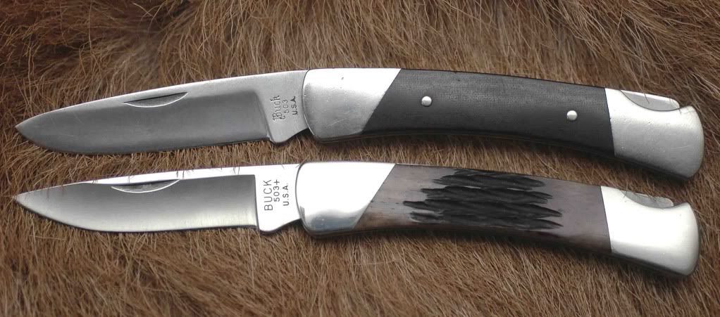 Buck503beide.jpg