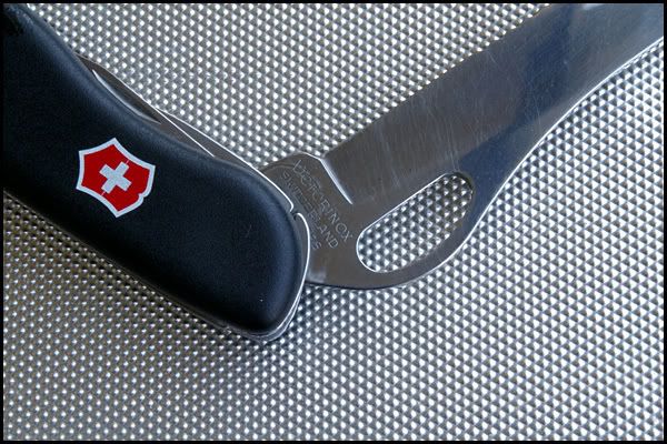 swiss04.jpg