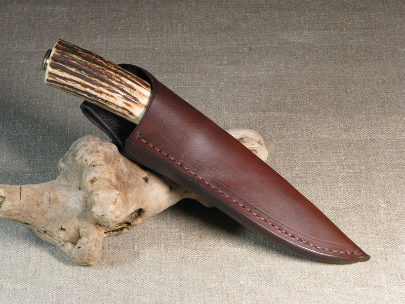 229e.jpg