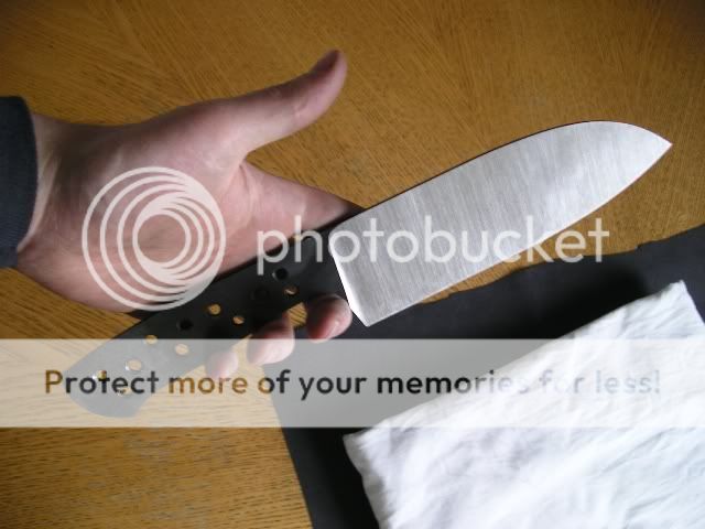 IMGP5275.jpg