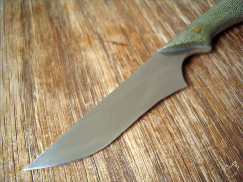 bona_lizzard_03.jpg