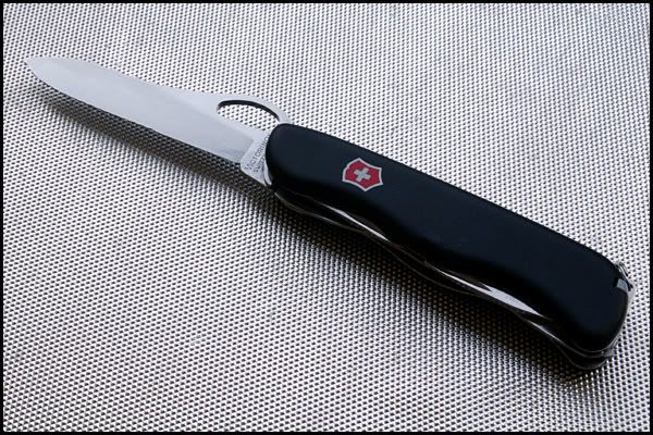 swiss02.jpg