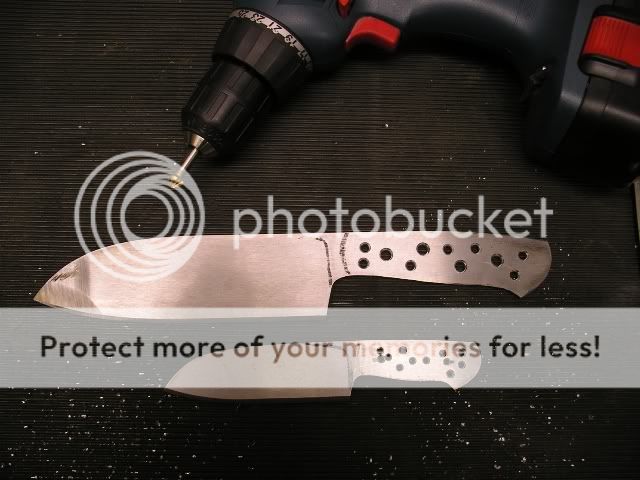 IMGP5224.jpg