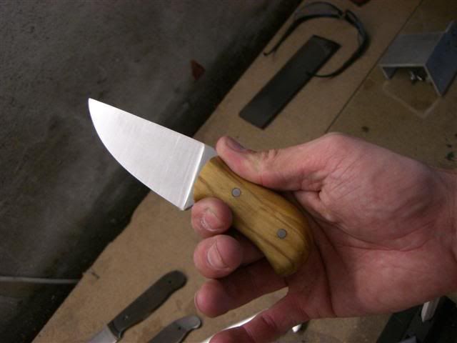 CIMG3475Small.jpg