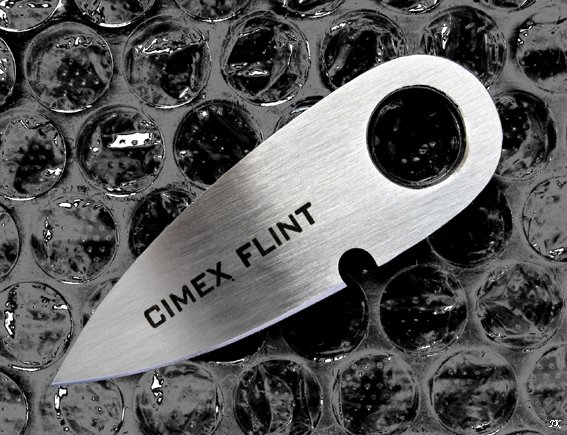 CimexF1_11.jpg