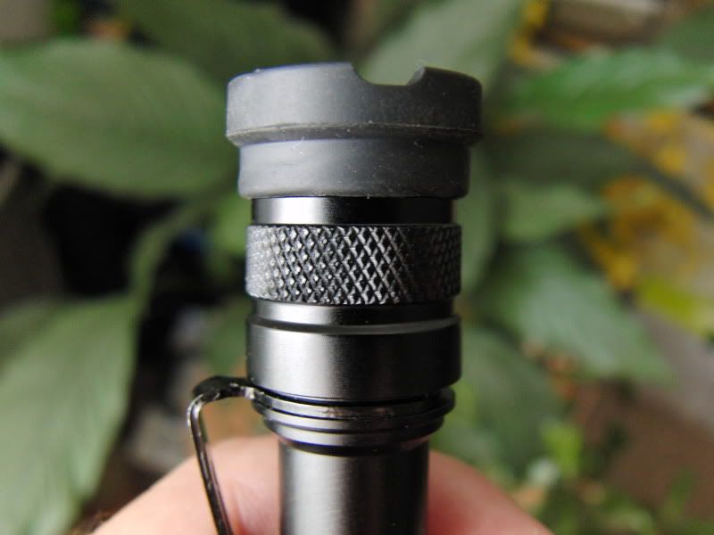 CIMG2954.jpg