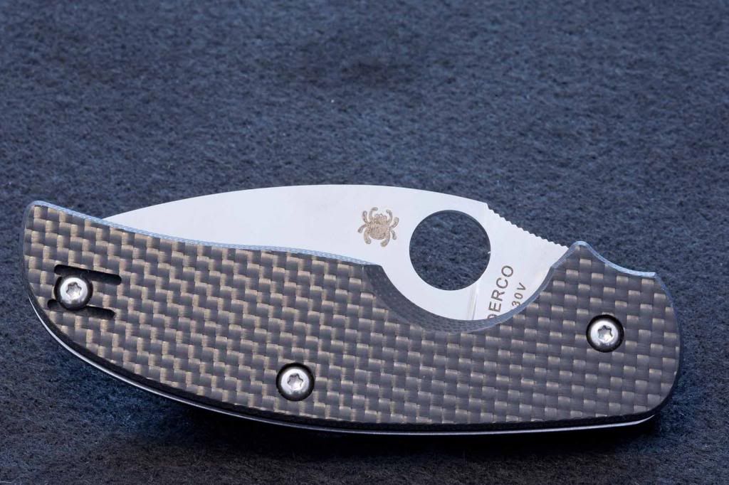 SpydercoSageBild10_zps9a650722.jpg