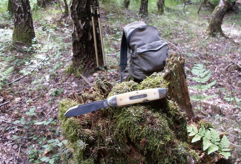 boy_scout_im_wald.JPG