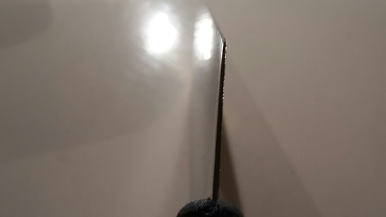 2100237-zqap3l7gw58d-2017_01_07_20.28.17-medium.jpg