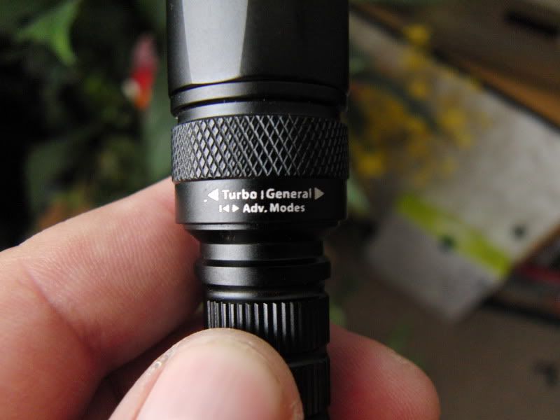 CIMG2950.jpg