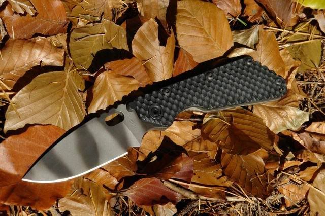 Strider_SMF_GG_G10_004.jpg