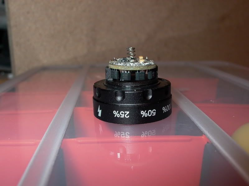 P1000071.jpg