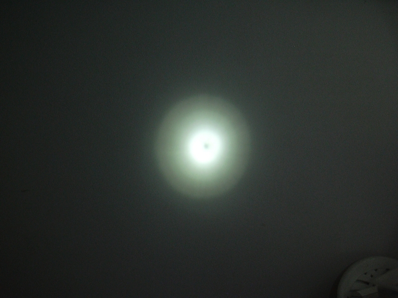 130cmhalbfocussiert.jpg