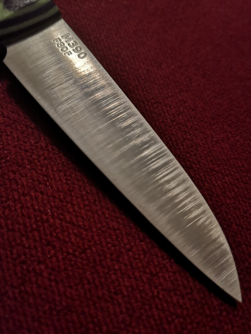 48806171ho.jpg