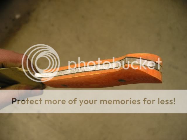 IMGP5346.jpg